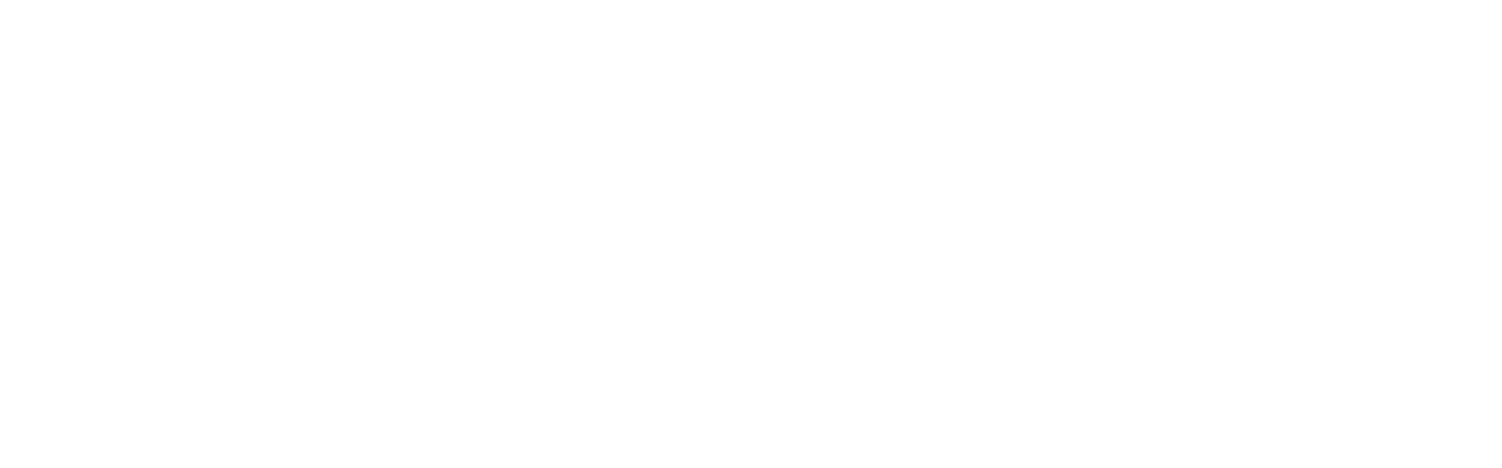 W-WS copy